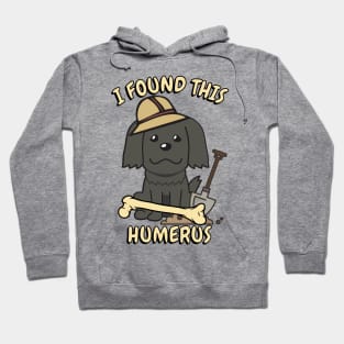 Funny dog is an archaeologist Hoodie